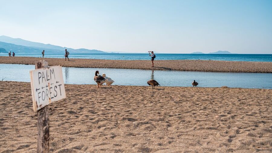Crete: Preveli Tropical Beach and Palm Forest - Beach time at Preveli: sand hours, swims, and the Stone of Lovers