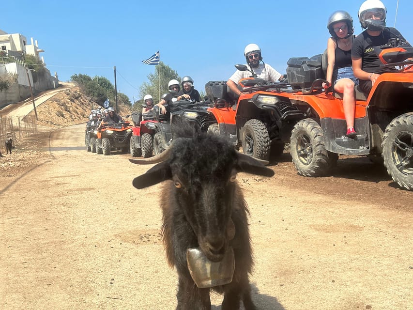 Crete: Quad Safari, Olive Mill with Tasting & Ghost Village - Olive mill stop: tasting olive oil and honey the Cretan way