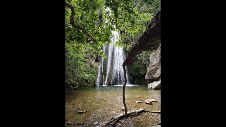Crete: Richtis Waterfall Full-Day Tour with Olive Tasting - Olive tasting and the 3250-year-old olive tree stop