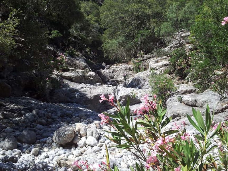 Crete: Richtis Waterfall Full-Day Tour with Olive Tasting - Guided history without turning the day into a lecture
