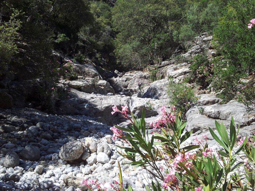 Crete: Richtis Waterfall Full-Day Tour with Olive Tasting - Pacing and group size: up to 6 people helps a lot