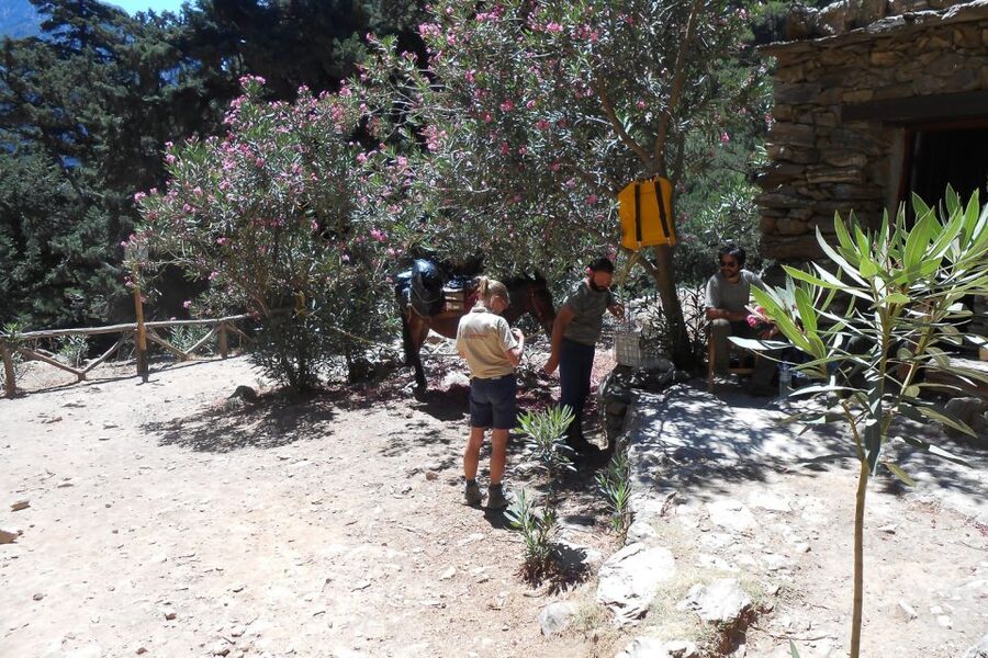 Crete: Samaria Gorge Hiking with transfer and expert Escort - Key things that make this Samaria day trip work
