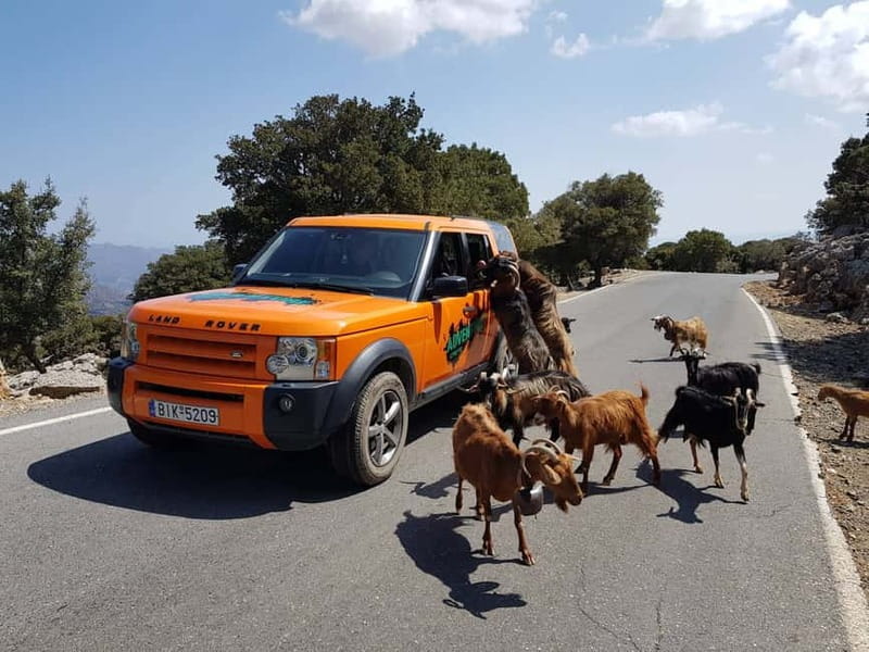 Crete: Sarakina Gorge, Forests, and South Coast Safari - Key things I’d circle on your map
