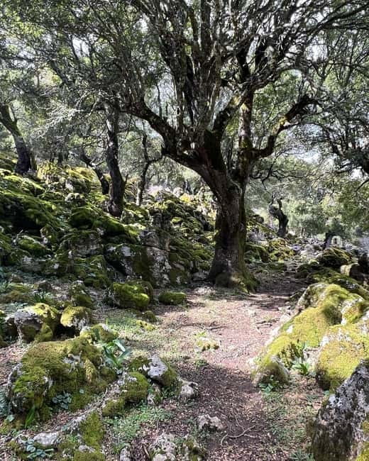 Crete: Sarakina Gorge, Forests, and South Coast Safari - Lunch at the Taverna: Slow Cretan Food After a Hard Section