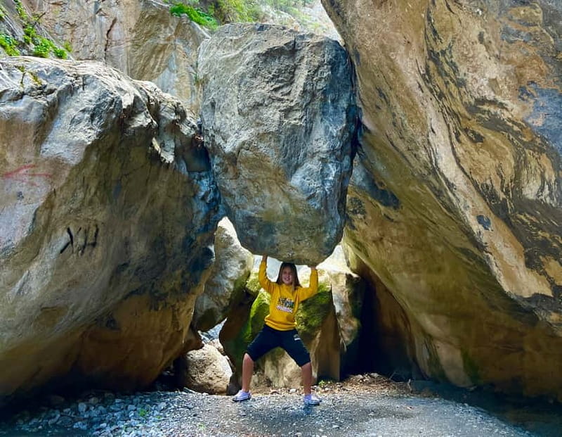 Crete: Sarakina Gorge, Forests, and South Coast Safari - Price and Logistics: What Makes This Tour Worth About $115