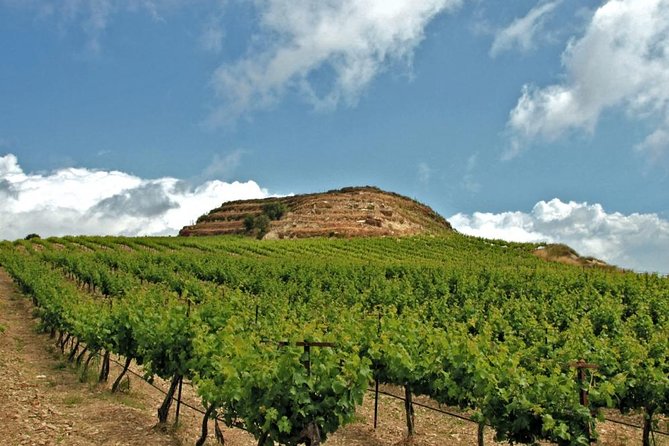 Crete Wine and Olive Oil Tour - Key highlights you will care about