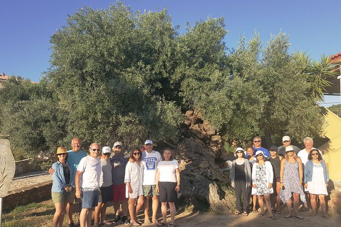 Crete Wine and Olive Oil Tour - Who this tour fits best (and who should think twice)