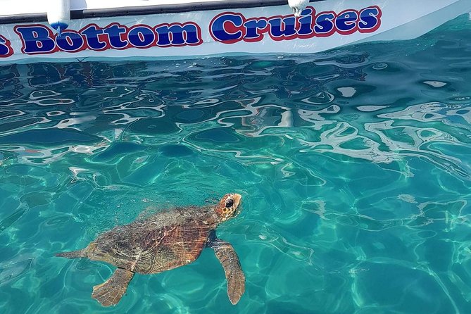 Cruise to turtle's island and caves with a glass bottom boat - Key things to know before you book