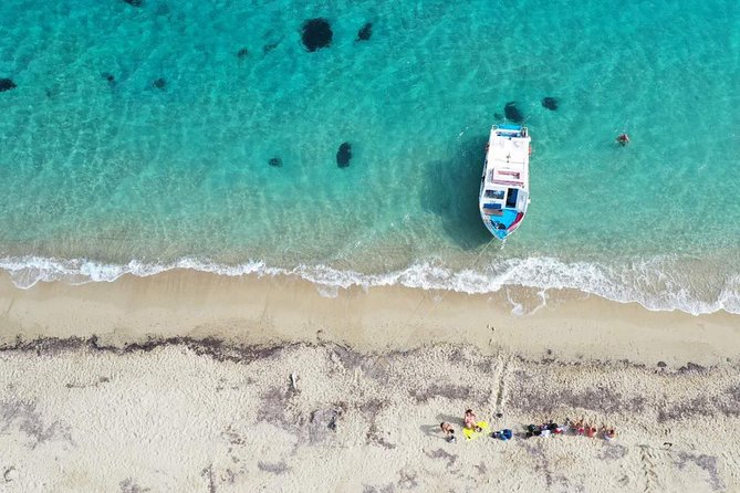 Cruise to turtle's island and caves with a glass bottom boat - Laganas start: why the early turtle search is worth your time