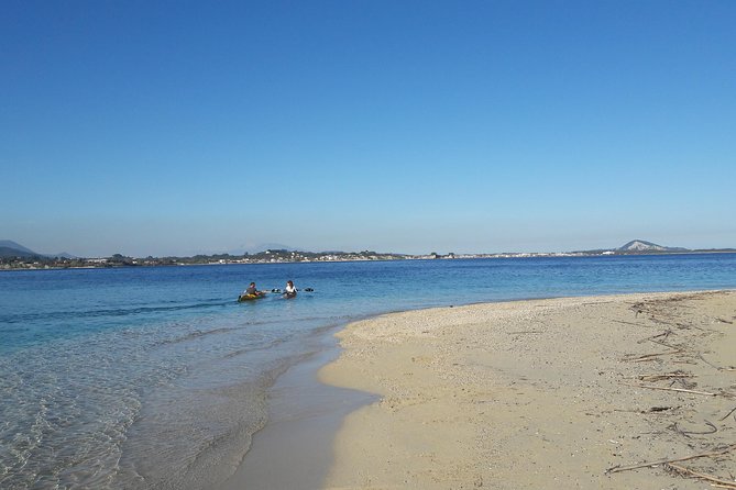 Cruise to turtle's island and caves with a glass bottom boat - Pickup and meeting point: avoid the morning scramble