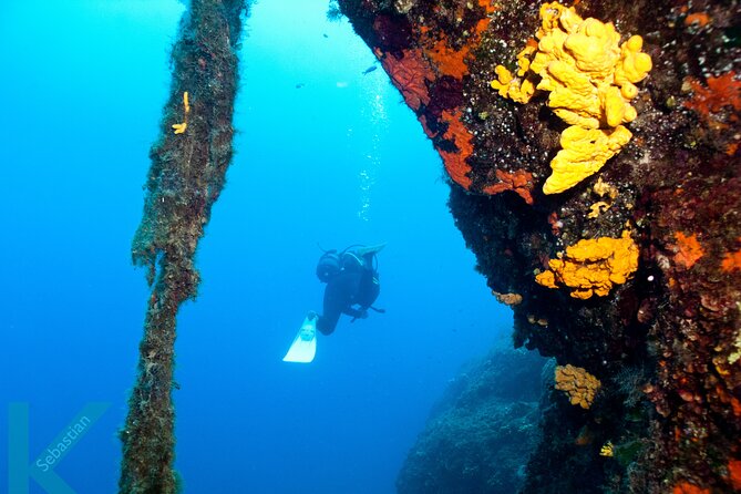 Discover Scuba Diving in the Caldera of the Volcano in Santorini - Where You Start: Akrotiri Caldera Beach Inside the Volcano Crater
