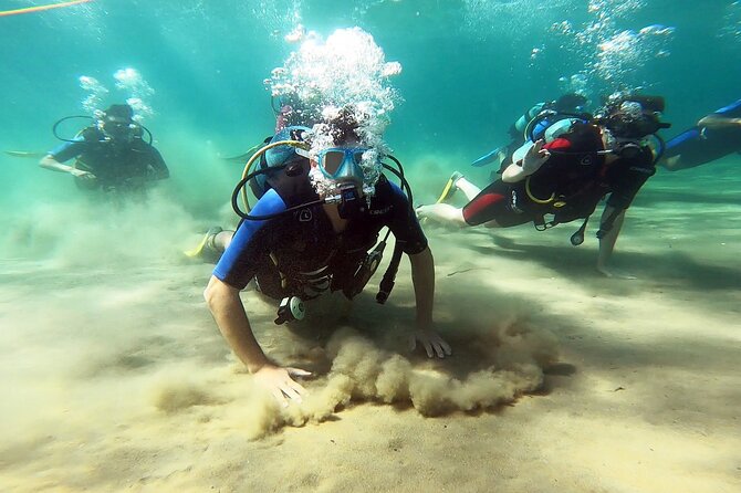 Discover Small Group Scuba Diving Experience in Nea Makri, Athens - Key things to know before you go
