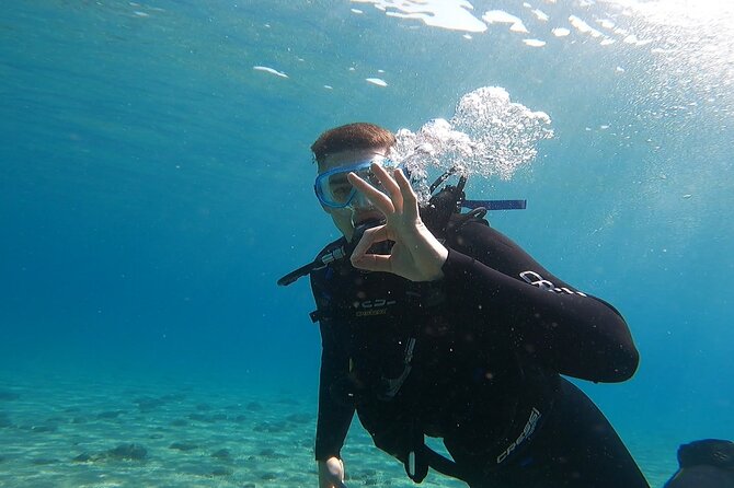 Discover Small Group Scuba Diving Experience in Nea Makri, Athens - Shallow water practice at Schinias Beach: get comfortable fast