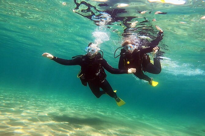 Discover Small Group Scuba Diving Experience in Nea Makri, Athens - The main underwater session: 5 to 6 meters for 30 to 40 minutes