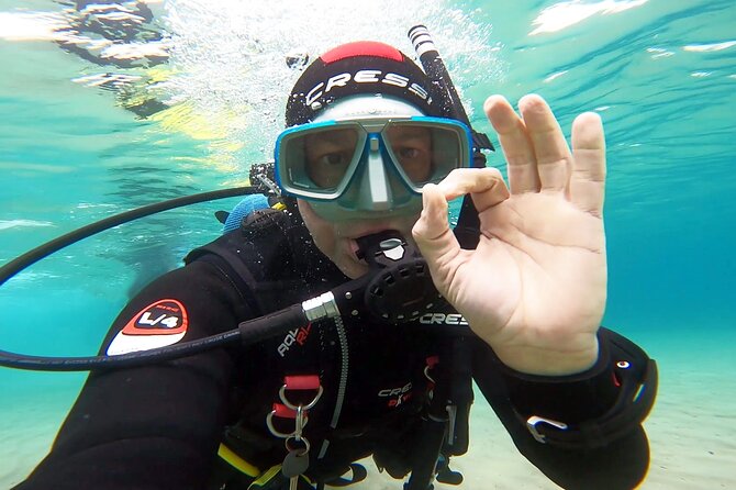 Discover Small Group Scuba Diving Experience in Nea Makri, Athens - Small-group support: what max four really buys you