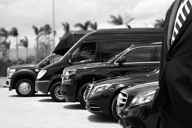 Economy Arrival Transfers From Santorini Airport To All Destinations - Meet-and-Greet Arrival Pickup at Santorini Airport