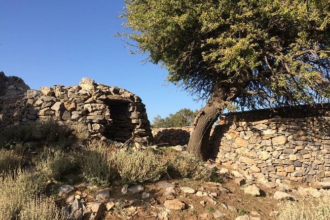 Explore the White Mountains of Crete - Old Chania mornings: why the start matters