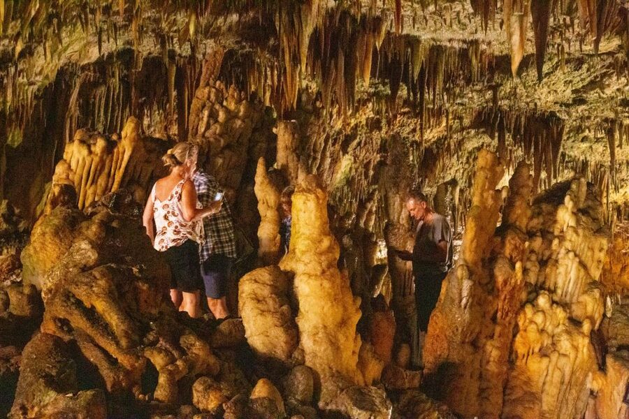 From Argostoli: Melissani Lake & Drogarati Caves Tour - Argostoli Pickup and the half-day 4-hour rhythm