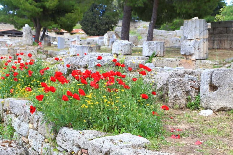 From Athens: Explore Ancient Corinth & Charming Nafplion - Bus Ride, Headsets, and Why the Guide Matters