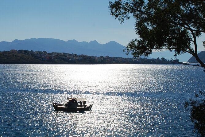 From Athens: Hydra, Poros, and Aegina Day Cruise with Lunch - Hydra: Car-Free Lanes, Donkeys, and the Best Reason to Choose This Cruise