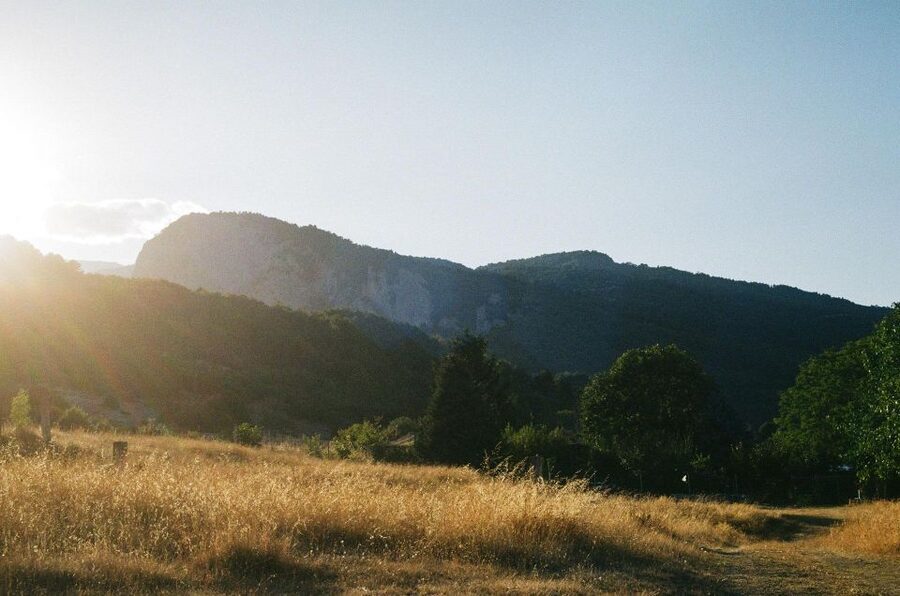From Athens: Mt. Olympus National Park Guided Day Tour - Litochoro: using 40 minutes like a local