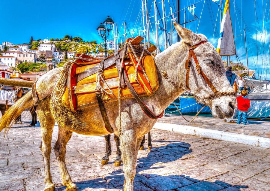 From Athens: Saronic Islands Full-Day Cruise with VIP Seats - The 12-Hour Schedule Reality: Where the Day Can Feel Tight