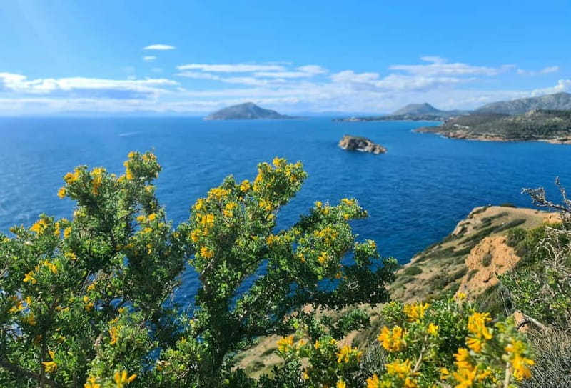 From Athens: Temple of Poseidon & Cape Sounion Half-Day Tour - Key highlights at a glance