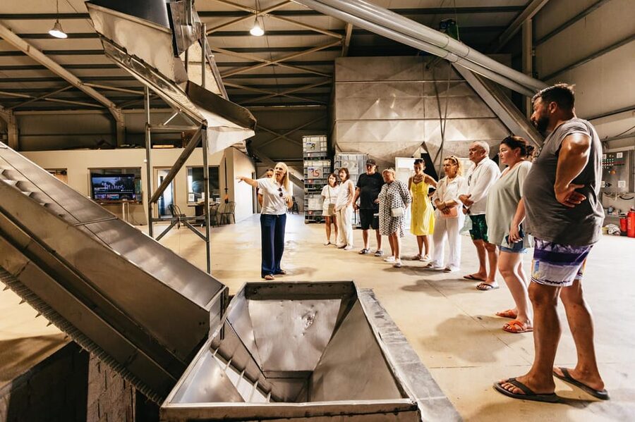 From Chania: Elafonisi and Falasarna Guided Tour with Snacks - Price and value: is $123 per person a fair deal?