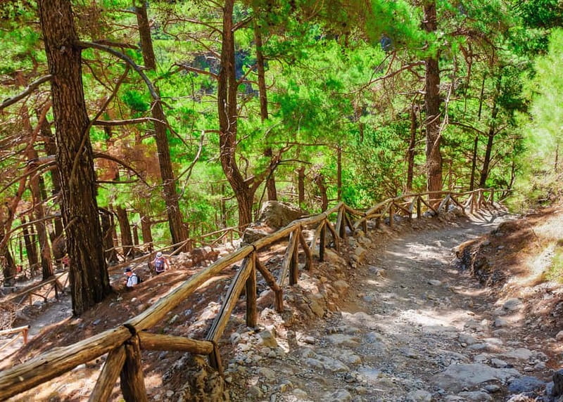 From Chania: Full-Day Samaria Gorge Trek Excursion & Guide - How difficult is it, really? The honest answer for most people