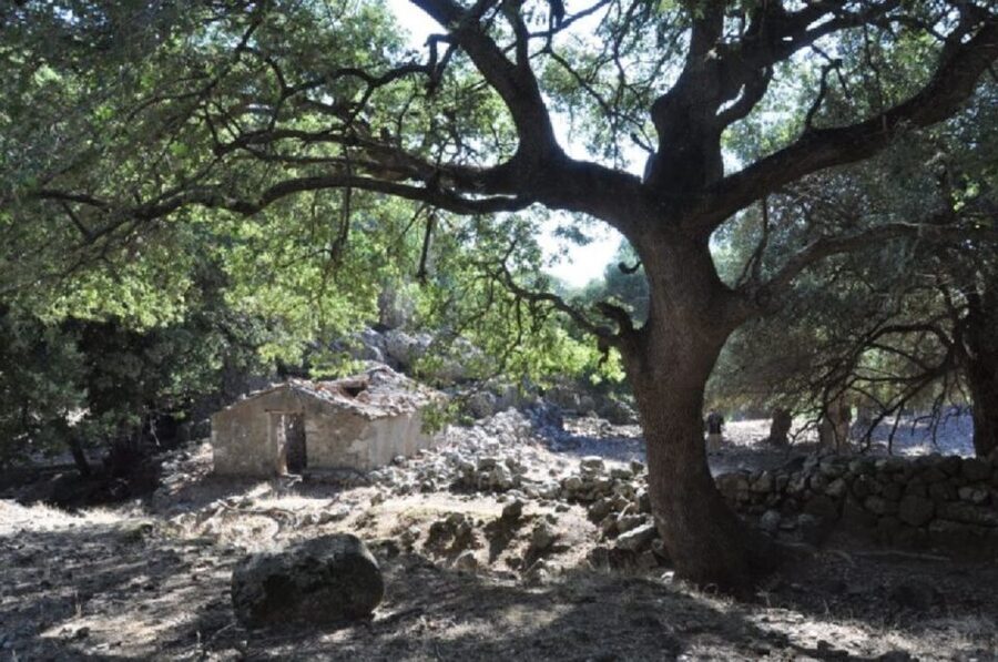From Chania: Imbros Gorge Guided Hike and Village Visit - The 9 km walk: what the gorge route is like under your feet