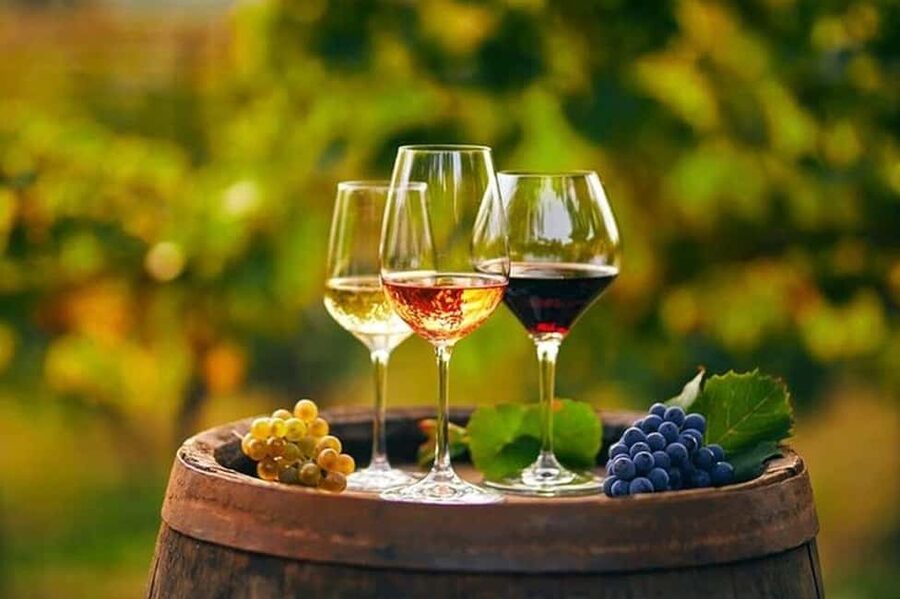 From Chania: Olive Oil, Wine, Cheese & Honey Tasting Tour - A 7-Hour Taste Circuit Out of Chania