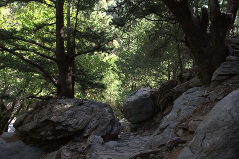 From Chania: Samaria Gorge Hike with Local Mountain Guide - Who should book this Samaria Gorge hike, and who should skip it