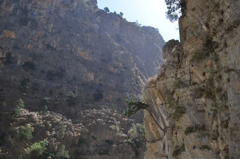 From Chania: Samaria Gorge Hike with Local Mountain Guide - Xyloskalo and the gorge entry: starting at the right altitude