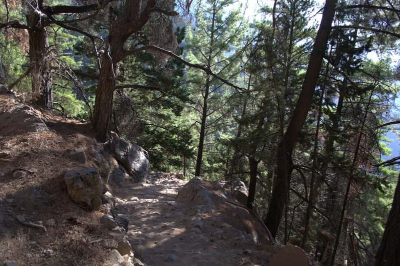 From Chania: Samaria Gorge Hike with Local Mountain Guide - Walking Samaria Gorge at your own pace, with time for nature and photos