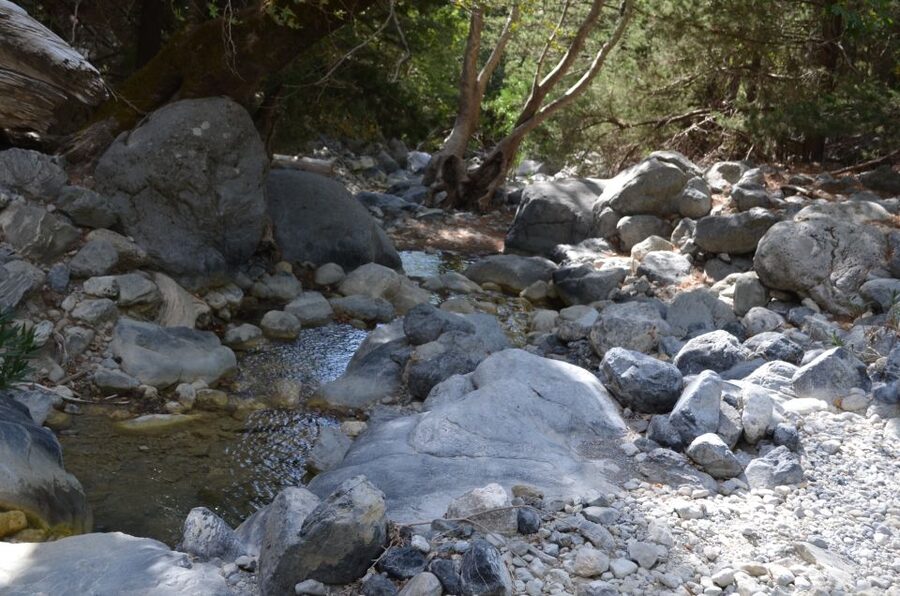 From Chania: Samaria Gorge Hike with Local Mountain Guide - The sections that test knees and ankles: steep descent, scree, and small crossings