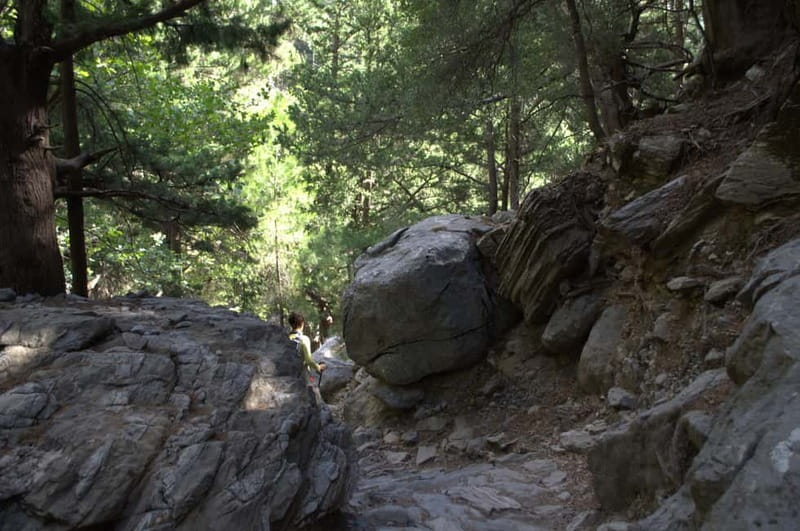 From Chania: Samaria Gorge Hike with Local Mountain Guide - Price and value: what the $36 covers, plus the extra cash you should plan