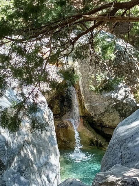 From Chania: Samaria Gorge with Professional Hiking Guide - Kri-Kri Chances and How to Use the Gorge Without Burning Out