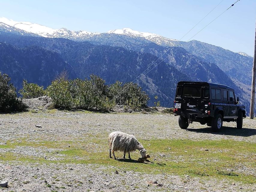 From Chania: White Mountains Land Rover Safari - Coffee or Mountain Tea Stops, Plus Wildlife Chances