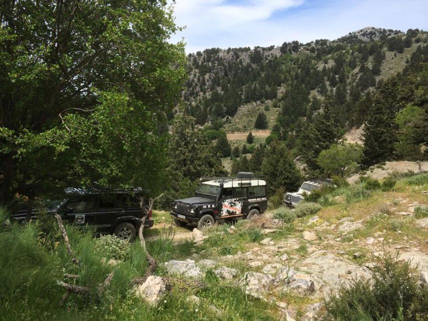 From Chania: White Mountains Land Rover Safari - The Shepherd’s Mitato Visit: Graviera Life in Plain View