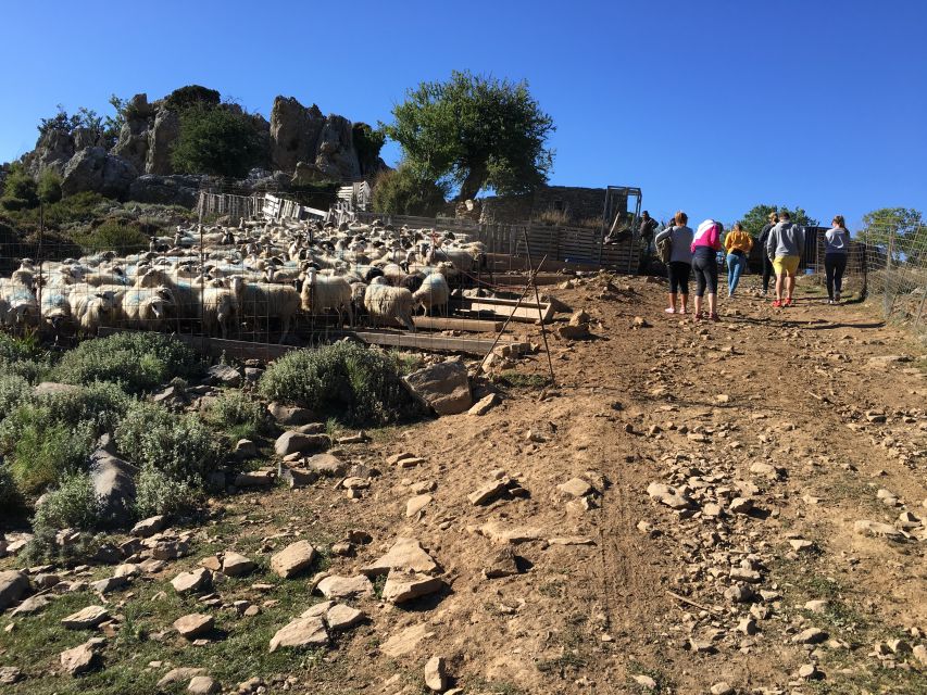 From Chania: White Mountains Land Rover Safari - Lunch in a Typical Cretan Tavern With Local Wine