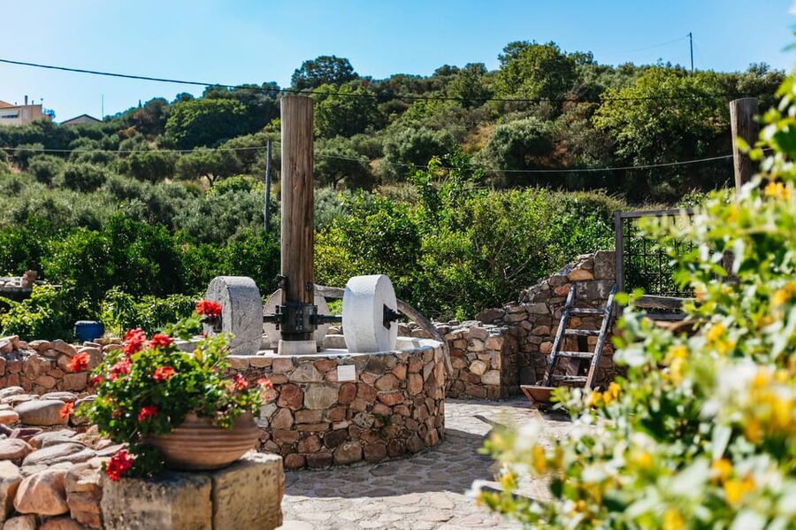 From Chania: Wine and Olive Oil Tasting Tour with Snacks - Who should book this day tour, and who should skip it