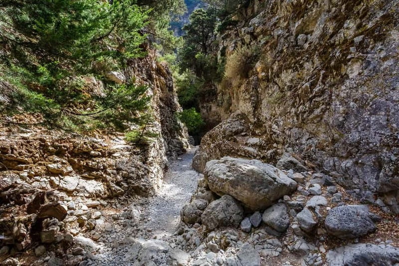From Georgioupoli: Easy Hiking Day-Trip to Imbros Gorge - The Easy Value of an Imbros Gorge Day Trip From Georgioupoli