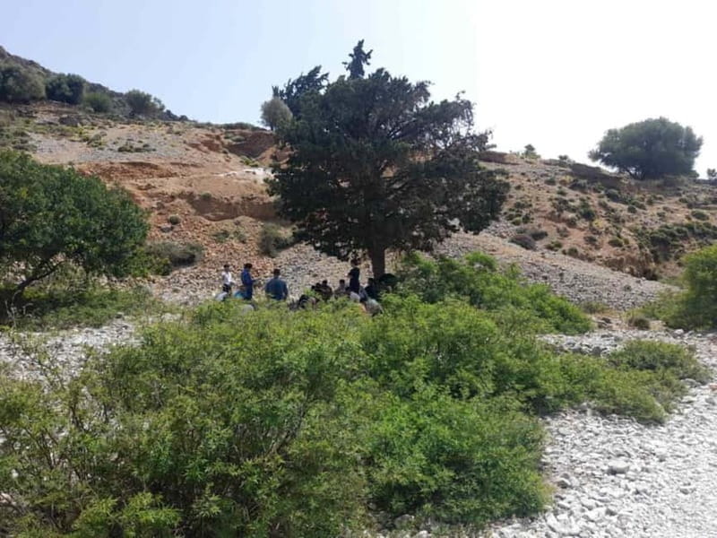 From Georgioupoli: Easy Hiking Day-Trip to Imbros Gorge - Price and What You Really Get for $34