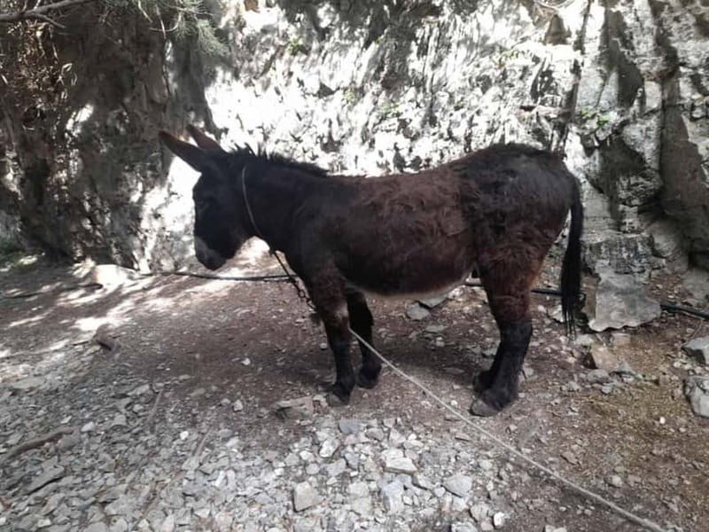 From Georgioupoli: Easy Hiking Day-Trip to Imbros Gorge - When This Tour Makes the Most Sense