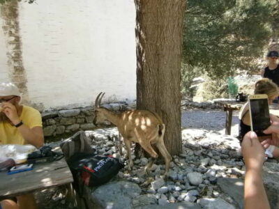 From Georgioupolis: Roundtrip Transfer to Samaria Gorge