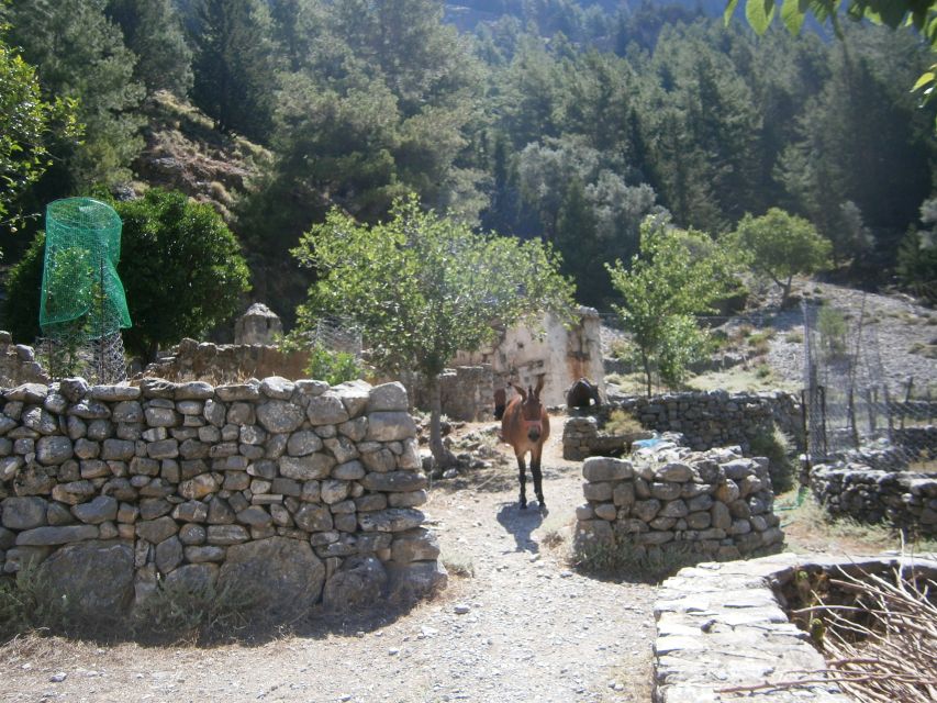 From Georgioupolis: Roundtrip Transfer to Samaria Gorge - The ferry and the ride back: getting home without stress