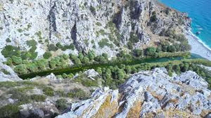 From Herakleion: Day Trip to Preveli Palm River Beach - Walking the river path through the gorge and palm forest