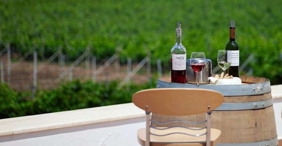 From Kos: Tour of 2 Wineries with Wine Tasting & Small Bites - The Wine Tasting Lesson, Explained So You Can Use It