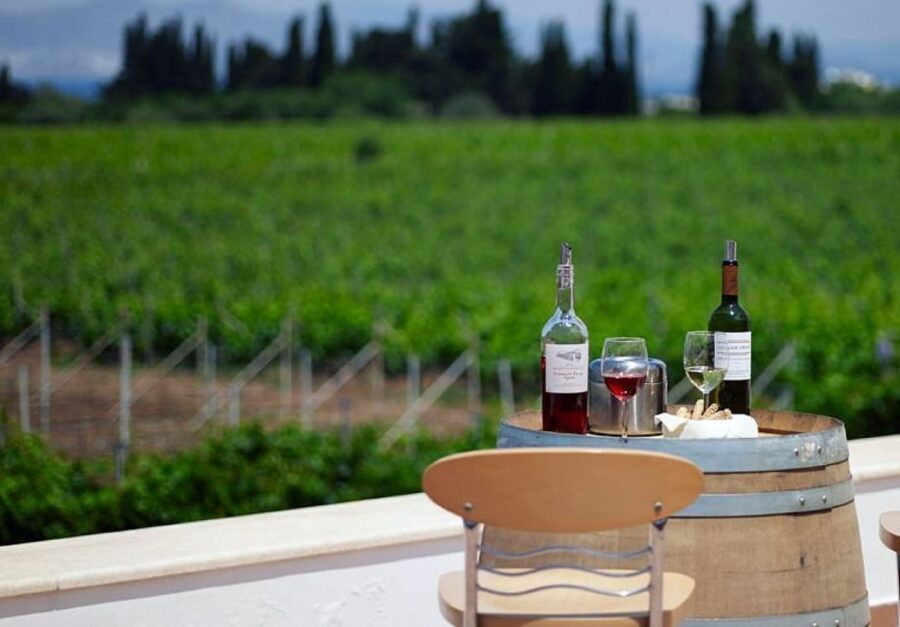 From Kos: Tour of 2 Wineries with Wine Tasting & Small Bites - Pairings on Kos: Local Bites With Real Purpose