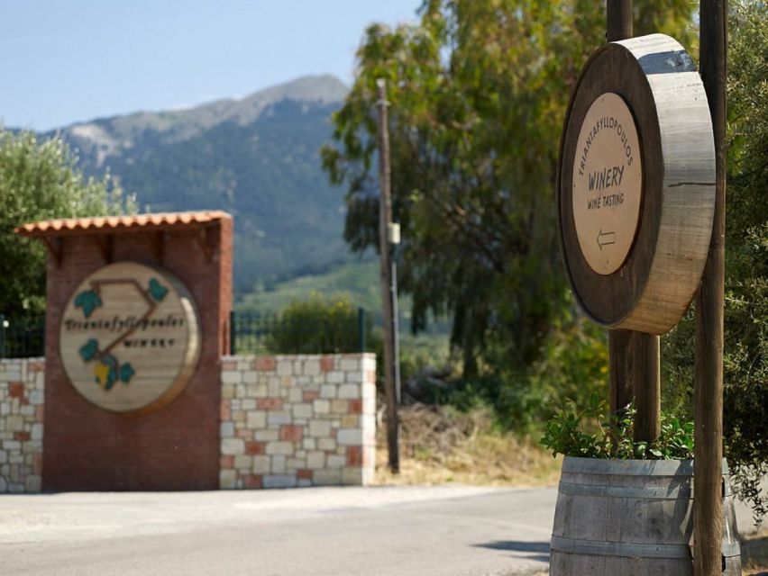 From Kos: Tour of 2 Wineries with Wine Tasting & Small Bites - Scenic Views and That South-Coast Moment